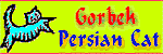 Persian Cat History, Persian Cat Breeders, Persian cat names, Persian Cat Gallery