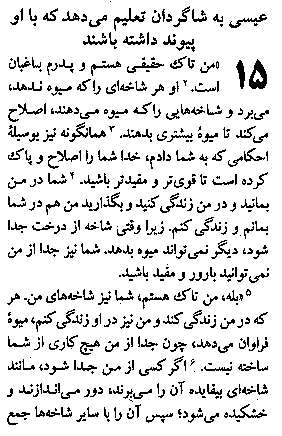 Gospel of John in Farsi, Page24b