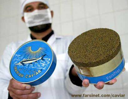 Oil pollution in Caspian
 Sea means the end of Persian Caviar