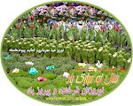 Persian New Year Greeting Cards