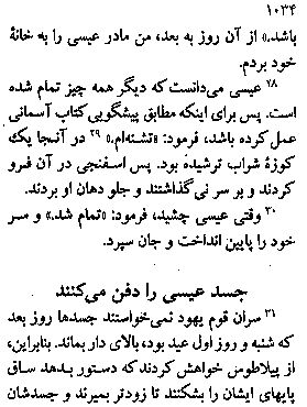 Gospel of John in Farsi, Page30a