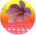 Fisrt Standard Saffron of Iran for Export