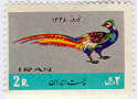 NoRuz 1348